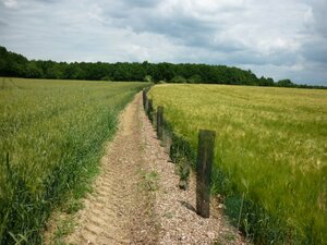 Recherche de bénévoles pour plantation de haies sur Sainte-Fauste